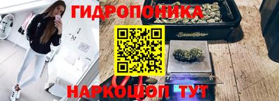 эйфоретик Коммунар