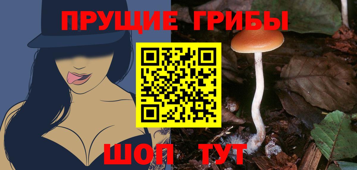Глазов  Галлюциногенные грибы ЛСД  Вход с VPN 